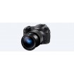 Sony RX10 IV with 0.03s. AF/25x optical zoom